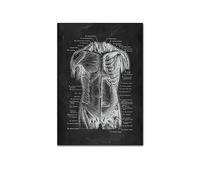 Supkan NTOMIE Humaine ATTROUILLE Mel MEIL PATURE Skeleton ORGLE SYSTÈME DE Muscle Vintage Affiche de l'affiche Impression du Corps Paint(Picture H,15x20cm No Frame)