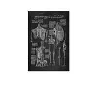 Supkan NTOMIE Humaine ATTROUILLE Mel MEIL PATURE Skeleton ORGLE SYSTÈME DE Muscle Vintage Affiche de l'affiche Impression du Corps Paint(Picture N,15x20cm No Frame)