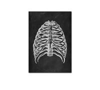 Supkan NTOMIE Humaine ATTROUILLE Mel MEIL PATURE Skeleton ORGLE SYSTÈME DE Muscle Vintage Affiche de l'affiche Impression du Corps Paint(Picture M,15x20cm No Frame)