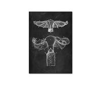 Supkan NTOMIE Humaine ATTROUILLE Mel MEIL PATURE Skeleton ORGLE SYSTÈME DE Muscle Vintage Affiche de l'affiche Impression du Corps Paint(Picture L,15x20cm No Frame)