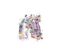 Supkan quarelle Floral Anatomie Affiches Et Impression Physiologie Seringue Stéthoscope Coeur Poumon Mur Art Toile Peinture Intérieur Chambre Décor(C,A4 21X30cm No Framed)