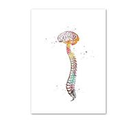 Supkan quarelle Organe Anatomie Coeur Poumon Cerveau Main Nordique Affiches Et Gravures Mur Art Toile Peinture Photos for Clinique Décor(H,20X25 cm Unframed)