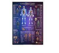 Supkan arte du Corps Anatomie Humaine système Musculaire Tableau Art Affiche Impression Toile Mur Photos for l'éducation médicale décor à la Maison(11,50x70cm No Frame)