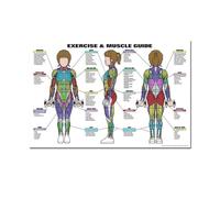 Supkan arte du Corps Anatomie Humaine système Musculaire Tableau Art Affiche Impression Toile Mur Photos for l'éducation médicale décor à la Maison(13,30x45cm No Frame)