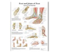 Supkan harts anatomiques Charte de Dents humaines Peinture APPIRONNÉ(JY0815,60x80cm no Frame)