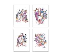 Supkan oeur Humain Impression organe Anatomie Toile Peinture médecine Anatomique Affiche Vintage Aquarelle Fleur Photos Clinique décor(I-4pcs,20X25cm No Frame)