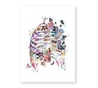 Supkan oeur Humain Impression organe Anatomie Toile Peinture médecine Anatomique Affiche Vintage Eau Couleur Fleur Photos Clinique déco(5,21x30cm Canvas)