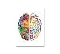Supkan oeur Impression Squelette Aquarelle Art Toile Affiche Peinture poumon Cerveau Anatomie médecine Mur Clinique médical Bureau décor(Picture 1,50x70cm no Frame)