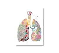 Supkan oeur Impression Squelette Aquarelle Art Toile Peinture poumon Cerveau Anatomie médecine Mur Clinique médical Bureau Chambre décor Affiche(4,25x35cm No Frame)