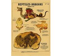 Supkan réatures curieuses rétro Affiche sirène Oiseau Dinosaure Kraft Papier Vintage Maison étude Salle Bar décor esthétique Art Peinture Murale(11,A3 16.5x11.8inch)