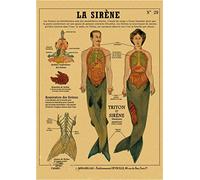 Supkan réatures curieuses rétro Affiche sirène Oiseau Dinosaure Kraft Papier Vintage Maison étude Salle Bar décor esthétique Art Peinture Murale(1,A4 8.3x11.8inch)