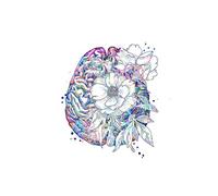 Supkan cor de Bureau médecin Anatomie du Cerveau Floral Coeur poumons et Fleurs décor Clinique d'art médical Cadeau Remise des diplômes Docteur(Canvas 2,20x25CM No Frame)