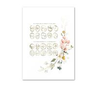 Supkan ent orale Dentiste Bureau Fleur Anatomie Mur Art Impression Toile Peinture Nordique Affiche Photos for Salon Salle de Bain décor(I,30X40 cm No Framed)