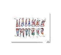 Supkan ents Accolades Anatomie Soins Dentaires Symbole Dent Racine Aquarelle Affiche Toile Peinture Mur Photo Art Prints Décor Dentaire(Picture 4,13x18cm No Frame)