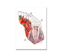 Supkan ents Accolades Anatomie Soins Dentaires Symbole Dent Racine Aquarelle Affiche Toile Peinture Mur Photo Art Prints Décor Dentaire(Picture 1,13x18cm No Frame)