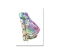 Supkan ucation médicale Bureau Photo Affiches Toile Peinture Anatomie Humaine système Musculaire Impression d'art Aquarelle Figure(Picture 3,10x15cm No Frame)