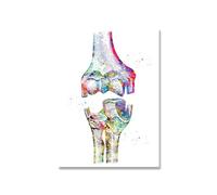 Supkan ucation médicale Bureau Photo Affiches Toile Peinture Anatomie Humaine système Musculaire Impression d'art Aquarelle Figure(Picture6,A4 21x30cm No Frame)