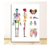Supkan ucation médicale Bureau Photo Affiches Toile Peinture Anatomie Humaine système Musculaire Impression d'art Aquarelle Figure(14,30X40cm No Frame)