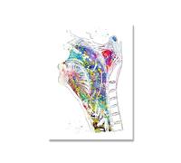 Supkan ucation médicale Bureau Photo Affiches Toile Peinture Anatomie Humaine système Musculaire Impression d'art Aquarelle Figure(Picture 5,20x25cm No Frame)