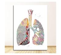 Supkan ucation médicale Bureau Photo Affiches Toile Peinture Anatomie Humaine système Musculaire Mur Art Imprimer Figure décor à la Maison(16,10x15cm No Frame)