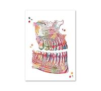Supkan e des Dents médecine orale Anatomie molaire Art Mural Toile Peinture Affiches et Impressions Nordiques Photos murales for décor de Clinique Dentaire(F,60X80cm No Framed)