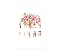 Supkan leur crâne Oral dent Anatomie Art Toile Peinture éducation médicale Affiches et Impressions Photos murales for décor de Clinique Dentaire(C,A4 21X30cm No Framed)