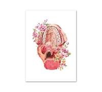 Supkan leur crâne Oral dent Anatomie Art Toile Peinture éducation médicale Affiches et Impressions Photos murales for décor de Clinique Dentaire(K,40X50 cm No Framed)