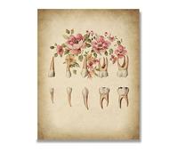 Supkancl Impression HD Vintage Anatomie Humaine système Dentaire Affiche Art médical Toile Peinture Mur Photo Clinique Salle de Traitement décor(Picture E,10x15cm No Frame)