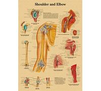 Supkancl La Structure du Corps Affiche rétro Anatomie et physiologie Papier Kraft Squelette Affiches Maison Salle médicale décor Art Peinture Murale(20)