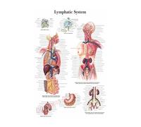 Supkancl La Structure du Corps HD Affiche Anatomie et physiologie Photo Papier Squelette Maison Salle médicale décor Art Peinture Murale(12,A3 16.5x11.8inch)