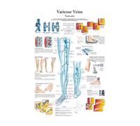 Supkancl La Structure du Corps HD Affiche Anatomie et physiologie Photo Papier Squelette Maison Salle médicale décor Art Peinture Murale(22,A4 8.3x11.8inch)