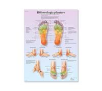 Supkancl La Structure du Corps Massage réflexe des Pieds Toile Peinture Points d'acupuncture Affiches d'art Mural Salle médicale décoration(06,21x30cm No Frame)