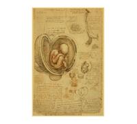 Supkancl La Structure du Corps Squelette Anatomie et physiologie Manuscrit rétro Peinture Art Mur décor Photo Chambre hôpital Toile Affiche(3,30x40cm No Frame)