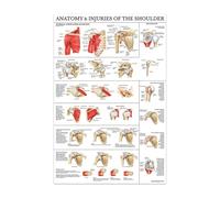 Supkancl La Structure du Corps Squelette système nerveux Anatomie Toile Peinture éducation médicale Impression Affiche Laboratoire médical décor à la Maison(14,30X45cm Unframed)