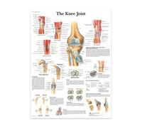Supkancl La Structure du Corps Squelette système nerveux Anatomie Toile Peinture éducation médicale Impression Affiche Laboratoire médical décor à la Maison(6,20X30cm Unframed)