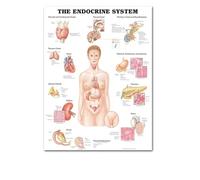 Supkancl Le Coeur Humain Toile Peinture Art Anatomie Humaine Muscles système Affiche Corps Carte Mur Photos for l'éducation médicale décor à la Maison(9,20x25cm No Frame)