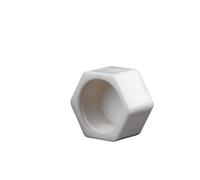 Supkancl Lot de 1/2/5/10/20 Bouchons d'extrémité en Plastique à Filetage Femelle 1/2'' 3/4'' 1'' for Tube en PVC(1I2 inch,5Pcs)