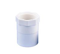 Supkancl Lot de 2 raccords Droits en PVC Blanc for Tuyau d'alimentation en Eau d'irrigation de Jardin, Filetage mâle/Femelle 1/2" ~ 1,5" vers 20/25/32/40/50 mm(Style C,25mm)