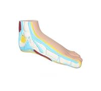 Supkancl Modèle de Pied Anatomique Enfants