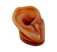 Supkancl Modèle d'oreille Humaine en Silicone Grandeur Nature for pratiquer l'impression d'oreilles prenant des modèles de Support Boucle d'affichage d'écouteur