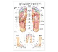 Supkancl Mur Art Image Corps Humain Science École Éducation Trigger Points Tableau INFORMATIONNEL Anatomie Peinture Toile Affiche Décor(20X30cm Frameless)
