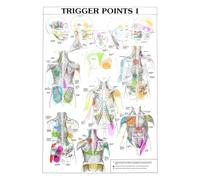 Supkancl Mur Art Photo Corps Humain Science École Éducation Trigger Points Tableau INFORMATIONNEL Anatomie Peinture Toile Affiche Décor(F,20X30cm Frameless)