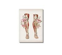 Supkancl Muscle squelettique Anatomie Art Toile Peinture Floral Pied os médical Affiche Impression éducation hôpital Photo Moderne décoration(Picture E,A4 21x30cm Unframed)