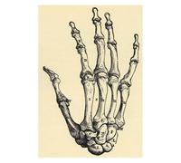 Supkancl Noir et Blanc Science Humaine Vintage Art Imprime Affiches Anatomie médicale Toile Peinture médecin Clinique Mur Photos(06,28X36cm No Framed)