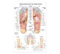 Supkancl Parties du Corps Humain Tableau d'éducation Scolaire informations Anatomie Art décoratif hôpital Peinture décorative Toile Affiche(8,30X45cm Unframed)