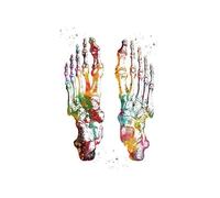 Supkancl Pièces de système Musculaire d'anatomie Humaine Moderne Art Toile journaux illustrés et Image imprimée for l'éducation médicale décor à la Maison(WE-5,20X30cm Unframed)
