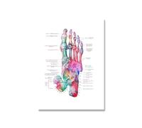 Supkancl Pieds Impression Ensemble Squelette Aquarelle Art Toile Affiche Peinture Pied os Anatomie médecine Mur Clinique Bureau médical décor(Picture 3,A3 30x42cm no Frame)
