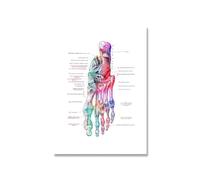 Supkancl Pieds Impression Ensemble Squelette Aquarelle Art Toile Affiche Peinture Pied os Anatomie médecine Mur Clinique Bureau médical décor(Picture 1,15x20cm no Frame)