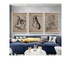 Supkancl Résumé Vintage Human Anatomy Skeleton Prints and Affiches Anatomical Skull Wall Art Canvas Picture Doctor Office Decor(Three Pictures,A3 30x42cm No Frame)