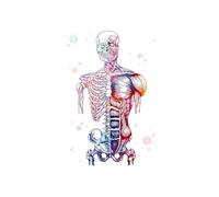 Supkancl Spine Foot Os Squelette Aquarelle Art Toile Peinture Affiche Impression Anatomie Médec(B,30X40CM No Frame)
